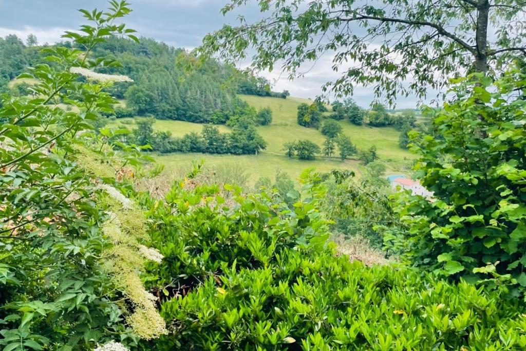 Appartement Pilat - T2 Renove Dans Des Anciennes Ecuries *