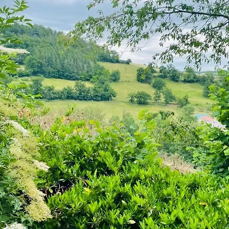 Pilat - Charmant T2 Renove Dans Des Anciennes Ecuries Saint-Galmier Extérieur photo