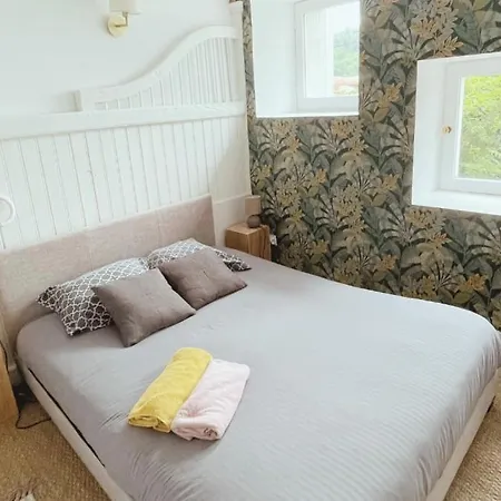 Pilat - Charmant T2 Renove Dans Des Anciennes Ecuries Saint-Galmier Extérieur photo